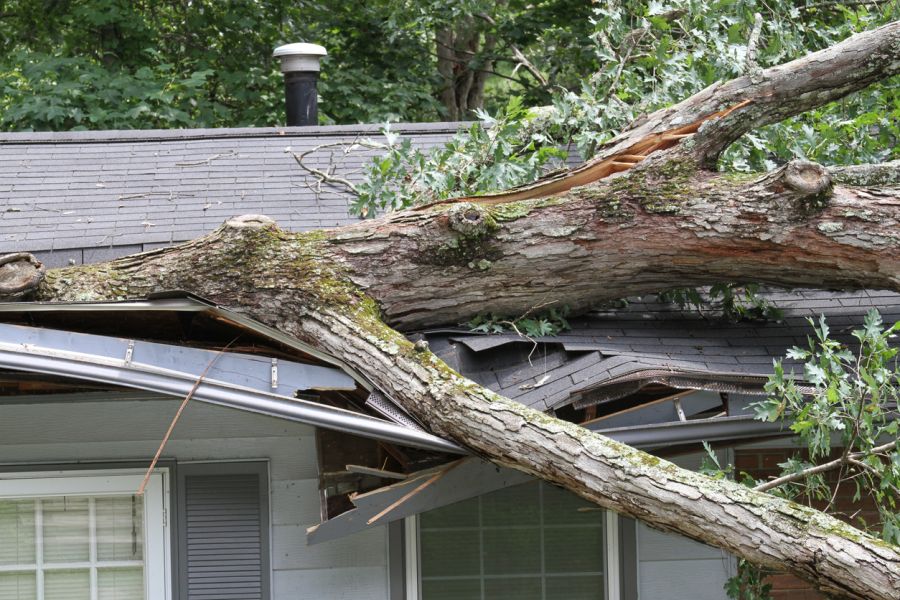 Roof Damage Claims by Alpha Restoration LLC